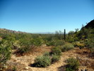 photo thumbnail #3