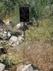 photo thumbnail #12