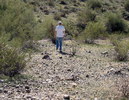 photo thumbnail #3