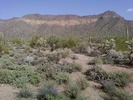 photo thumbnail #8