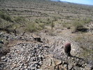 photo thumbnail #5