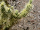 photo thumbnail #9