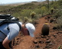 photo thumbnail #15