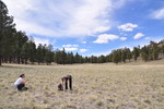 photo thumbnail #4