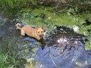 photo thumbnail #2