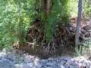 photo thumbnail #8