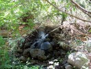 photo thumbnail #9