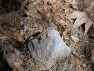 photo thumbnail #10