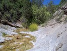 photo thumbnail #11