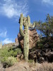 photo thumbnail #6