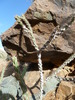 photo thumbnail #7