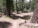 photo thumbnail #1
