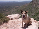 photo thumbnail #14
