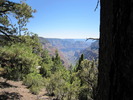 photo thumbnail #7