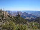 photo thumbnail #12