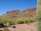 photo thumbnail #2