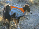 photo thumbnail #2