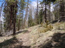 photo thumbnail #8