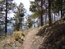photo thumbnail #9