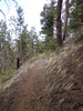 photo thumbnail #14
