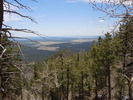 photo thumbnail #15