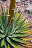 photo thumbnail #8