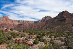 photo thumbnail #10