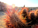 photo thumbnail #9