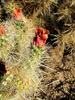 photo thumbnail #10