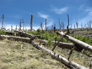 photo thumbnail #1