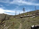 photo thumbnail #4