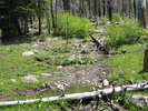 photo thumbnail #6