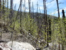 photo thumbnail #7