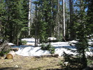photo thumbnail #8