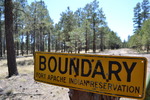 photo thumbnail #12
