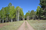 photo thumbnail #13