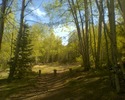 photo thumbnail #2