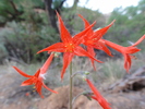 photo thumbnail #14