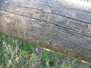 photo thumbnail #7