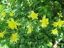 photo thumbnail #8