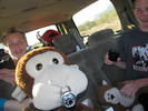 photo thumbnail #9