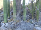 photo thumbnail #1