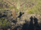 photo thumbnail #1