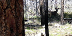 photo thumbnail #5