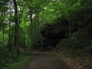 photo thumbnail #6