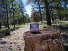 photo thumbnail #3