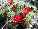 photo thumbnail #4