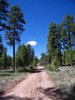 photo thumbnail #7
