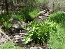 photo thumbnail #4