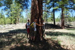 photo thumbnail #7